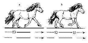 Phasenfolge1