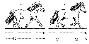Phasenfolge3